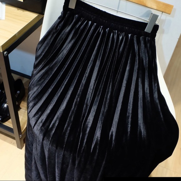 Velvet Pleated Skirt - Picture 10 of 11